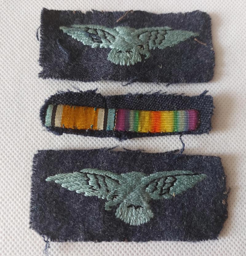Pair of WW2 RAF Albatross insignia
